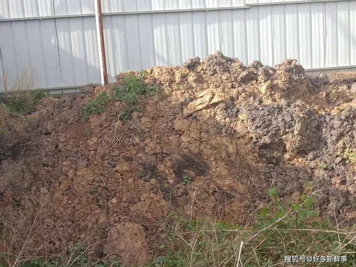 滑縣小鋪鄉大武莊照喜新型墻體材料廠污染環境，室內環境亟待治理